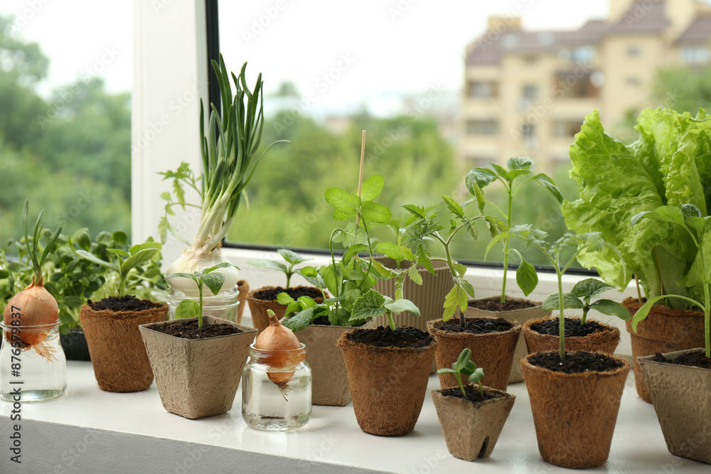 Many different seedlings growing in pots on window sill Many different seedlings growing in pots on window sill