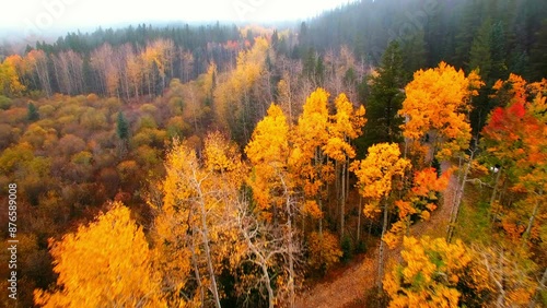 Aerial Backward Beautiful Shot Of House Amidst Forest During Autumn Season - Denver, Colorado