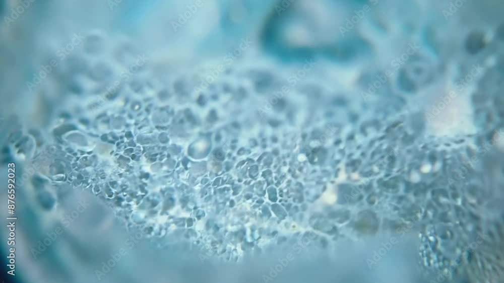 Macro View of Blue Bubbles and Fluid Patterns in Liquid Macro View of Blue Bubbles and Fluid Patterns in Liquid