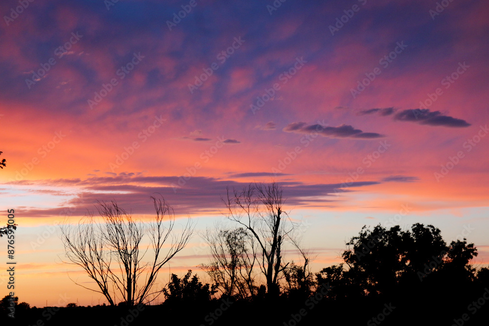 Fototapeta premium Spring blue pink and purple sunset in the country