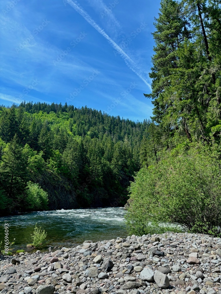 Obraz premium Shots of untouched parts of nature in the Pacific Northwest