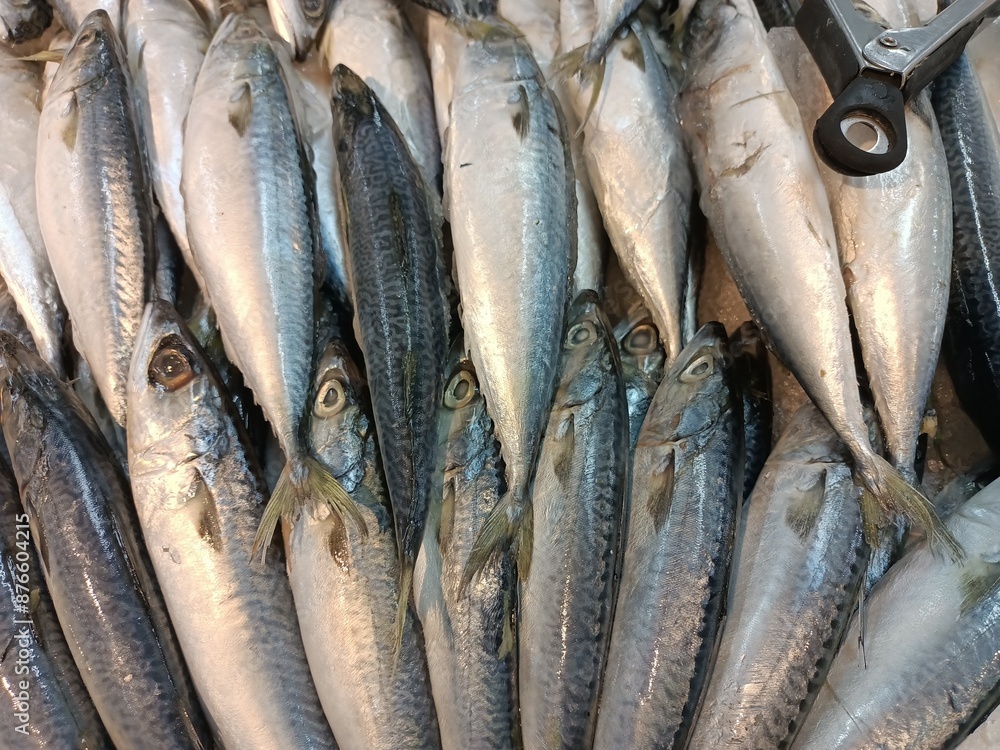 Obraz premium fresh fish on ice