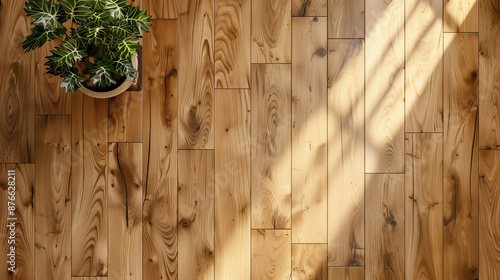 フローリング床の日当たりの良いリビングルームのリアルイラスト