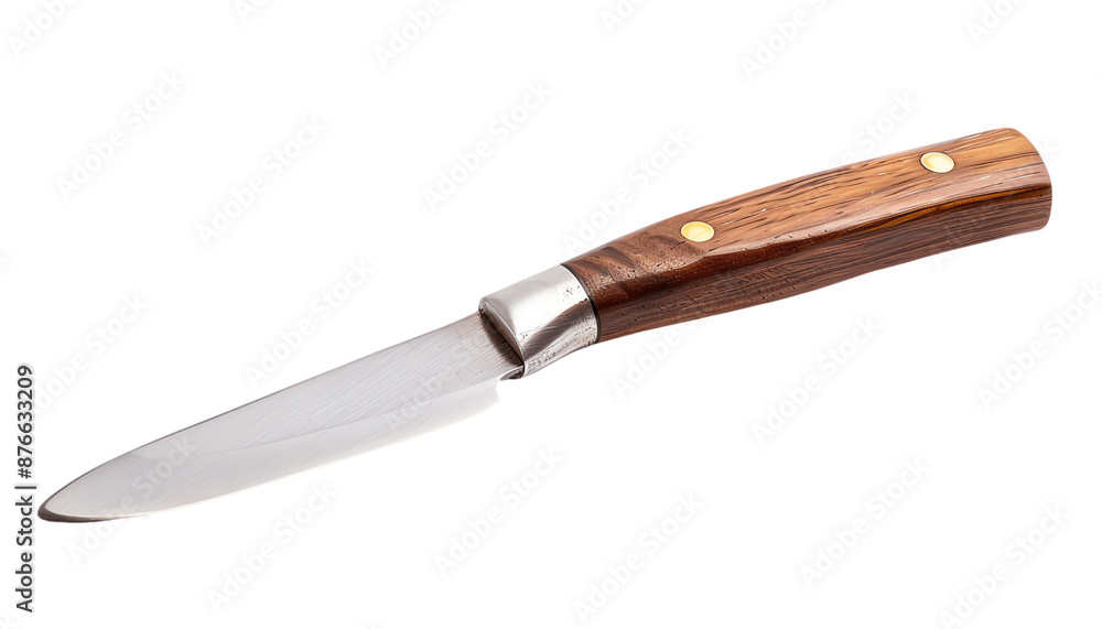 Closeup of a Small Knife with a Wooden Handle. Closeup of a Small Knife with a Wooden Handle.