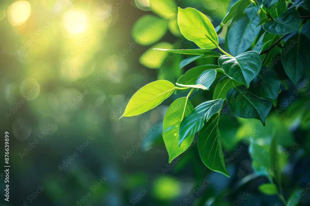 Fresh Green Leaves with Water Droplets for Natural Garden Foliage and Outdoor Moisture
Fresh Green Leaves with Water Droplets for Natural Garden Foliage and Outdoor Moisture