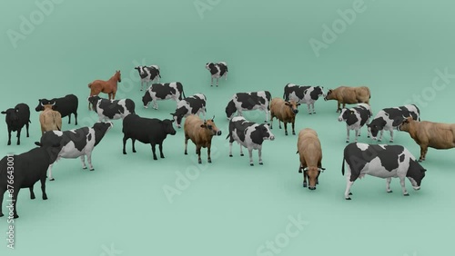 cows animal animation green screen
