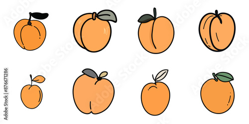 Multiple apricots in hand-drawn style with black outline
