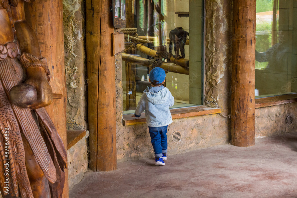 A little toddler in jeans has fun watching the animals at a modern urban zoo A little toddler in jeans has fun watching the animals at a modern urban zoo