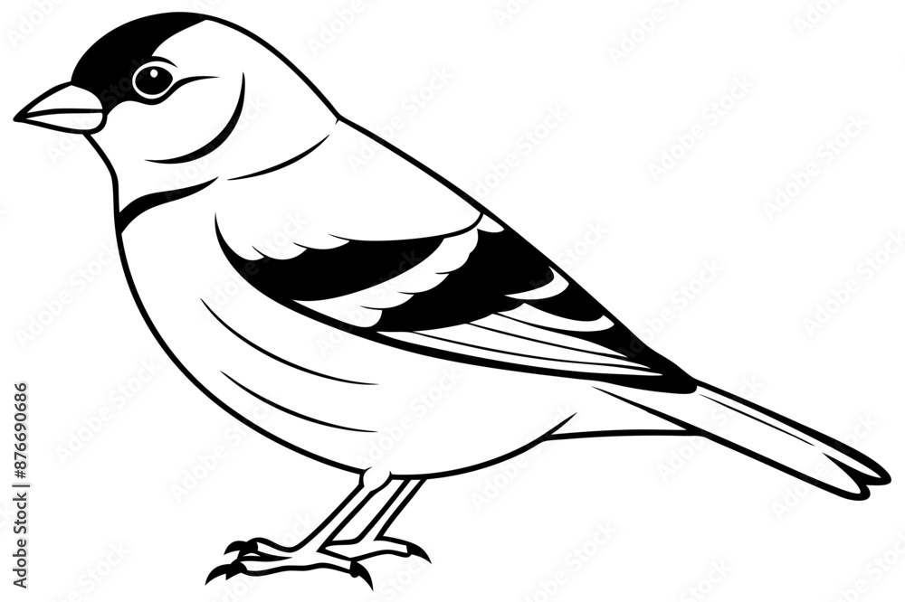 Obraz premium Chaffinch icon vector line art illustration