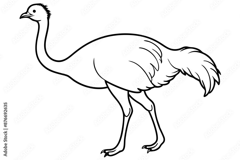 Emu icon vector line art illustration Emu icon vector line art illustration