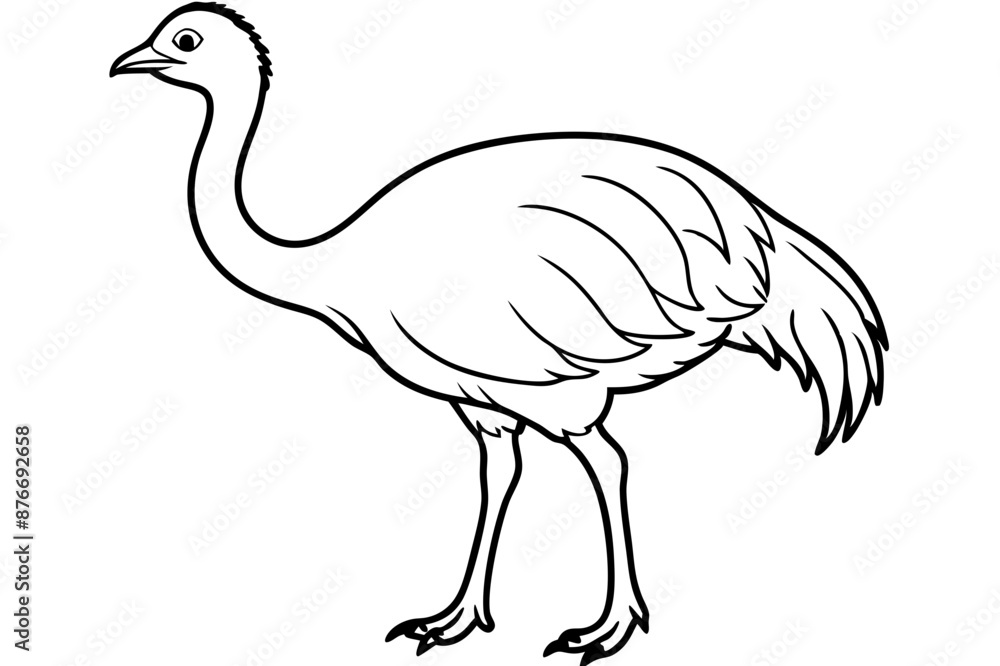 Emu icon vector line art illustration Emu icon vector line art illustration