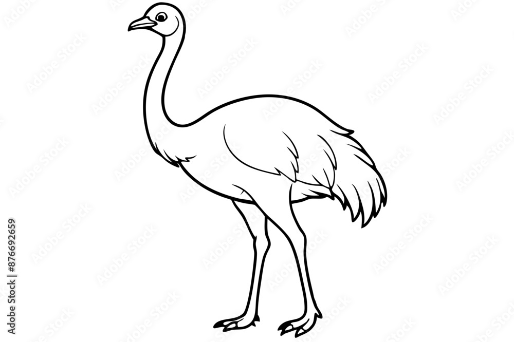 Fototapeta premium Emu icon vector line art illustration