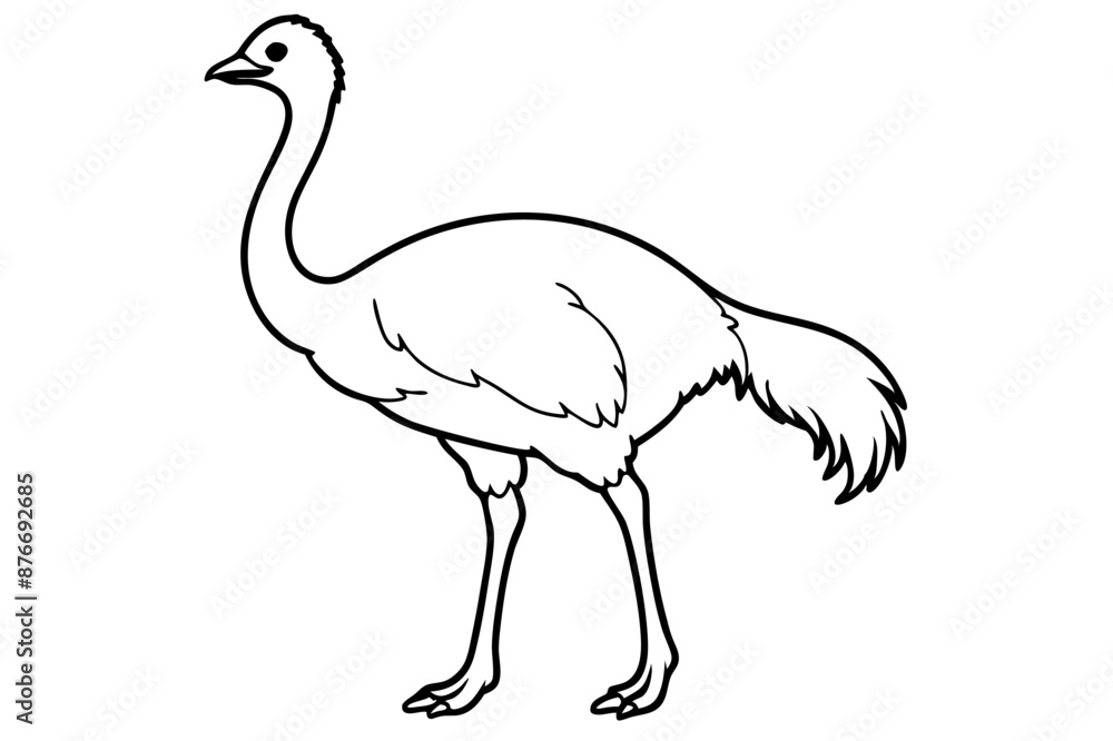 Emu icon vector line art illustration Emu icon vector line art illustration