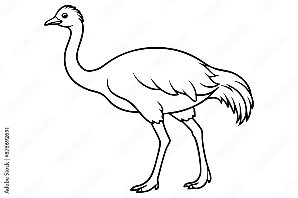 Emu icon vector line art illustration Emu icon vector line art illustration