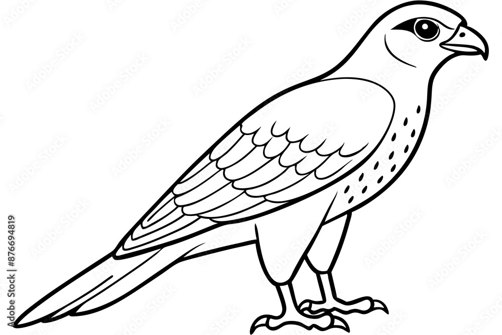 Obraz premium Cooper's Hawk icon vector line art illustration
