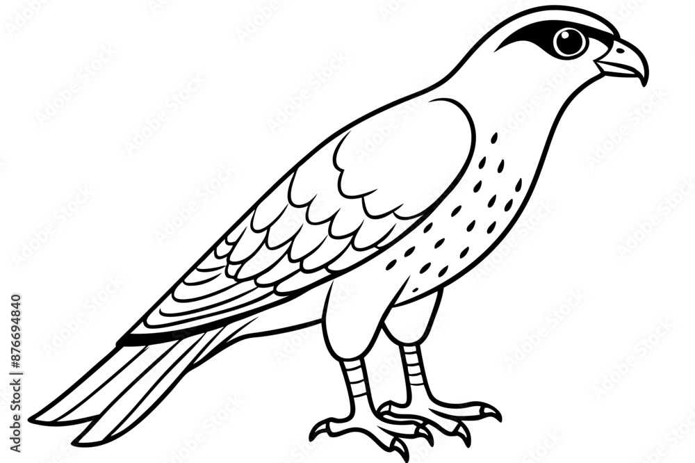 Fototapeta premium Cooper's Hawk icon vector line art illustration