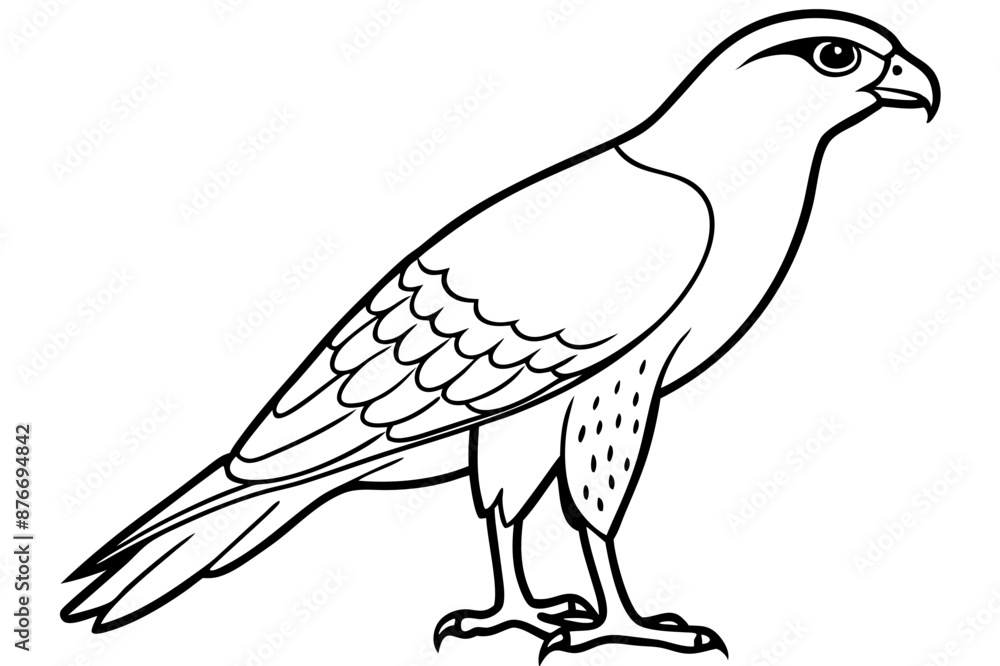 Fototapeta premium Cooper's Hawk icon vector line art illustration