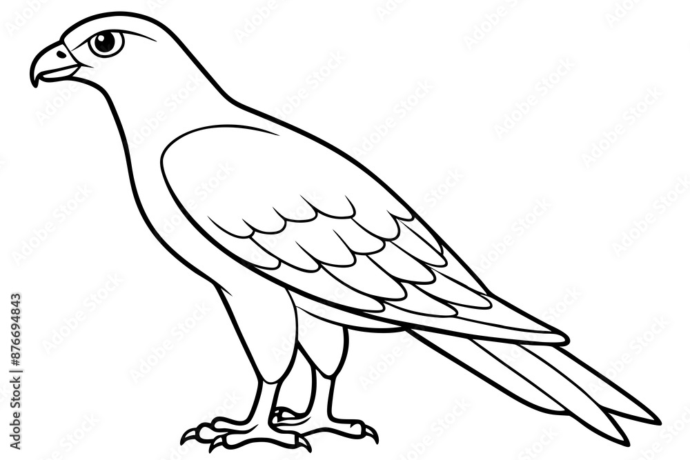 Fototapeta premium Cooper's Hawk icon vector line art illustration