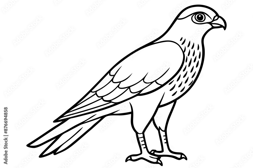 Fototapeta premium Cooper's Hawk icon vector line art illustration