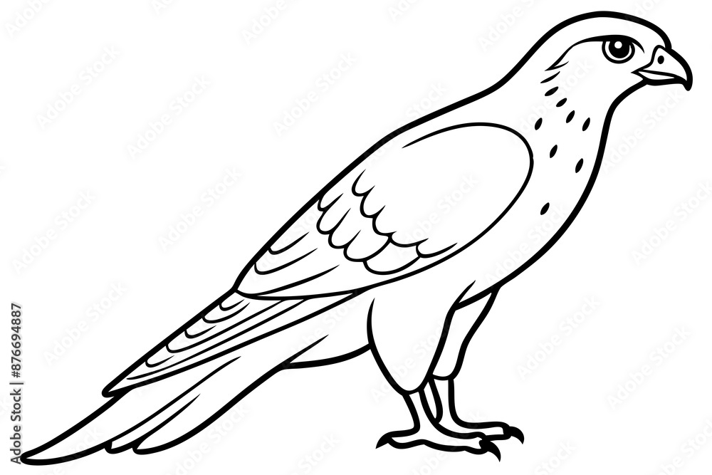 Fototapeta premium Cooper's Hawk icon vector line art illustration