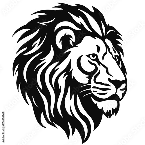 Illustration of lion with black and white style photo