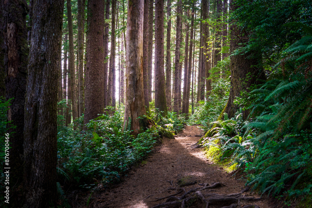 Obraz premium Falcon Point Trail Oregon