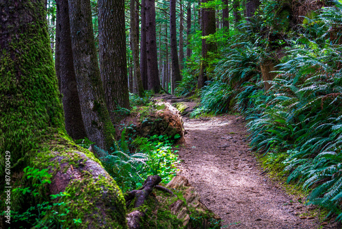 Falcon Point Trail Oregon photo