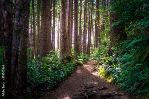 Falcon Point Trail Oregon