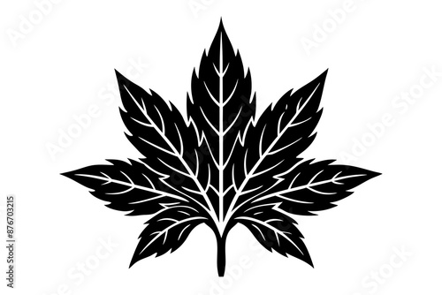 Frost leaf icon silhouette vector illustration