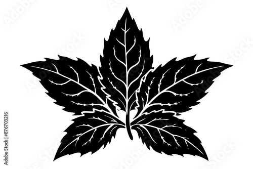 Frost leaf icon silhouette vector illustration