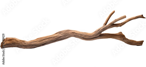 Branch of a dry old tree isolated on transparent background