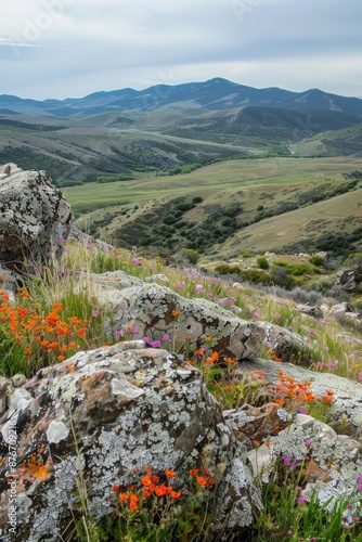 An ancient altar atop a windswept hill, overlooking a sprawling valley dotted with colorful wildflowers, Generative AI photo