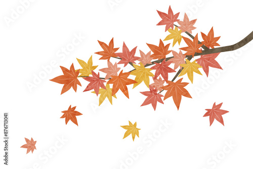 紅葉したもみじの枝の水彩画イラスト 紅葉 落ち葉