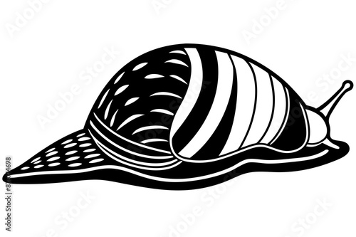Cone Snail sleeps icon vector on white background