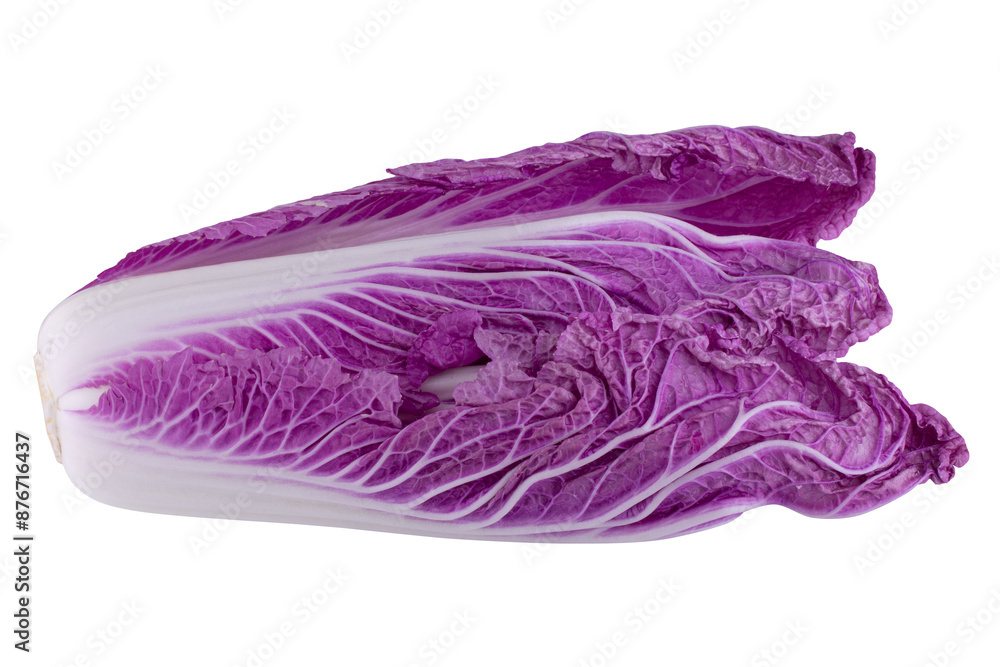 Obraz premium Purple chinese cabbage isolated on a transparent background.