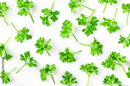 Fresh parsley on white background. Healty green food. Herb concept © bit24