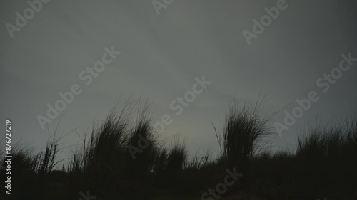 time lapse of clouds, stars moving with fireflies in night in a grassland of Bihar, India Indian Savana, photo