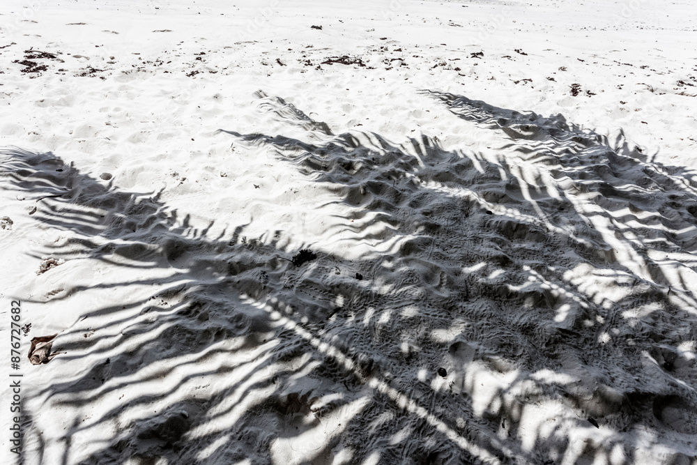 Ombres de palmes de cocotiers sur le sable Ombres de palmes de cocotiers sur le sable