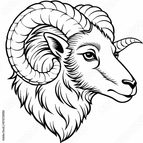 a ram fur head mascot or logo in white background, simple line vector illustration, coloring page for children