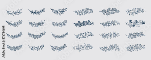 Flower branch. Eucalyptus, olive and rosemary wedding leaf, herb floral plants and linear rustic elements. Decorative isolated botanical floral design. Frame or border. Vector icons set