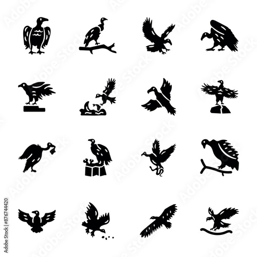 Bundle of Buzzard Bird Solid Icons 
 photo