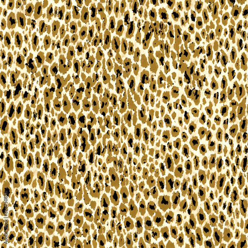 leopar 13-3.eps