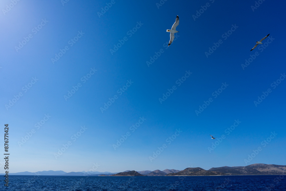 VWA_Backgrounds_Vol1_Clear_Skies_2024-06-1708 VWA_Backgrounds_Vol1_Clear_Skies_2024-06-1708