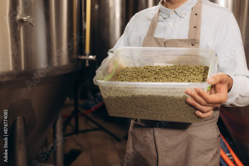 Valokuvatapetti Green hops for beer. Man holding green hop cones.