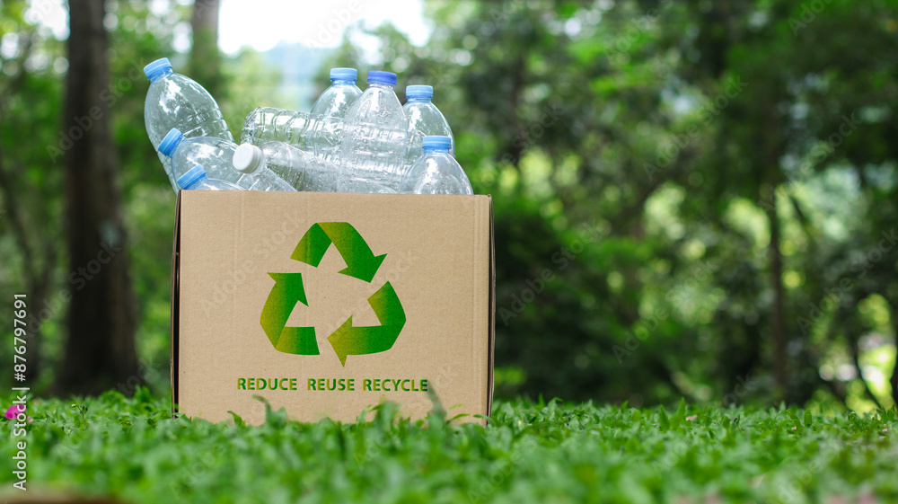 Recycle reduce reuse and zero waste concept. Cardboard box on green ...