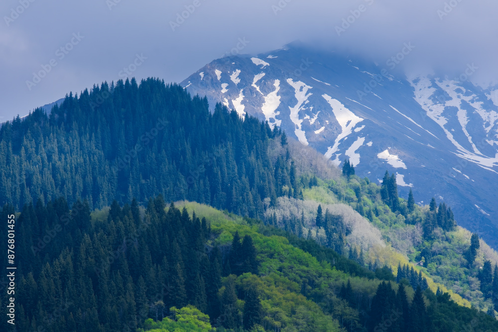 Forest in the spring Tien Shan mountains with remnants of winter snow under the clouds Forest in the spring Tien Shan mountains with remnants of winter snow under the clouds