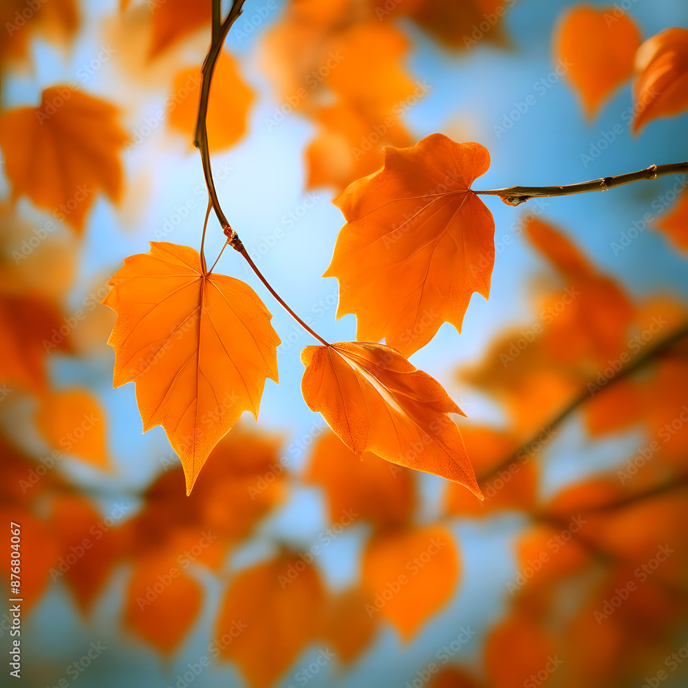 Beautiful bright background of autumn leaves Beautiful bright background of autumn leaves