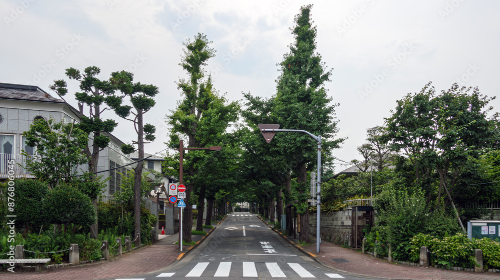 閑静な住宅街の道路 閑静な住宅街の道路
