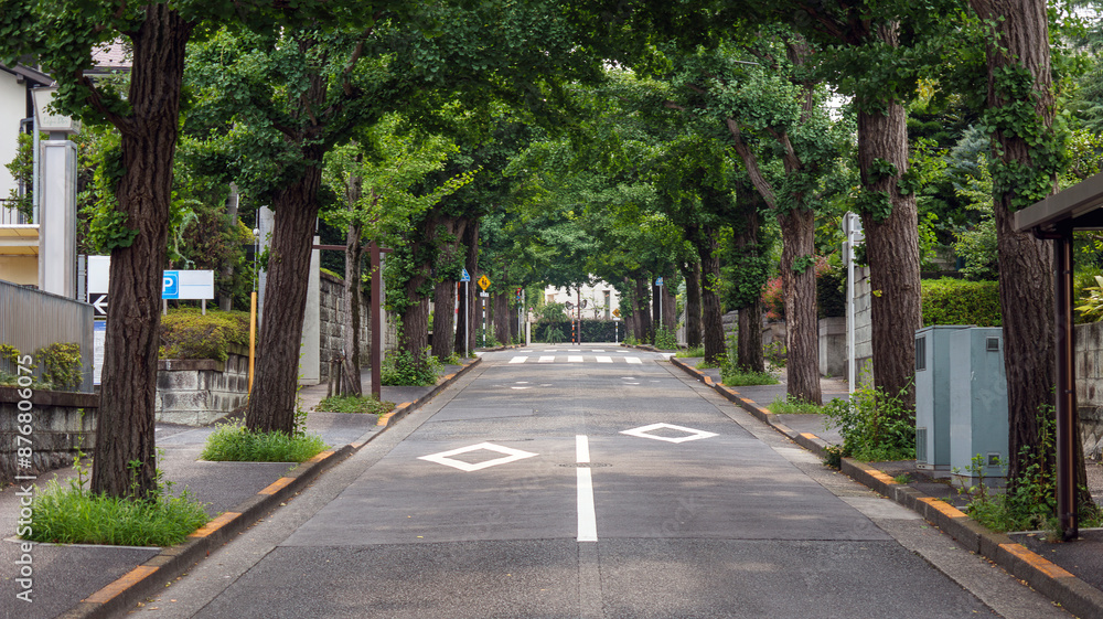 閑静な住宅街の道路 閑静な住宅街の道路
