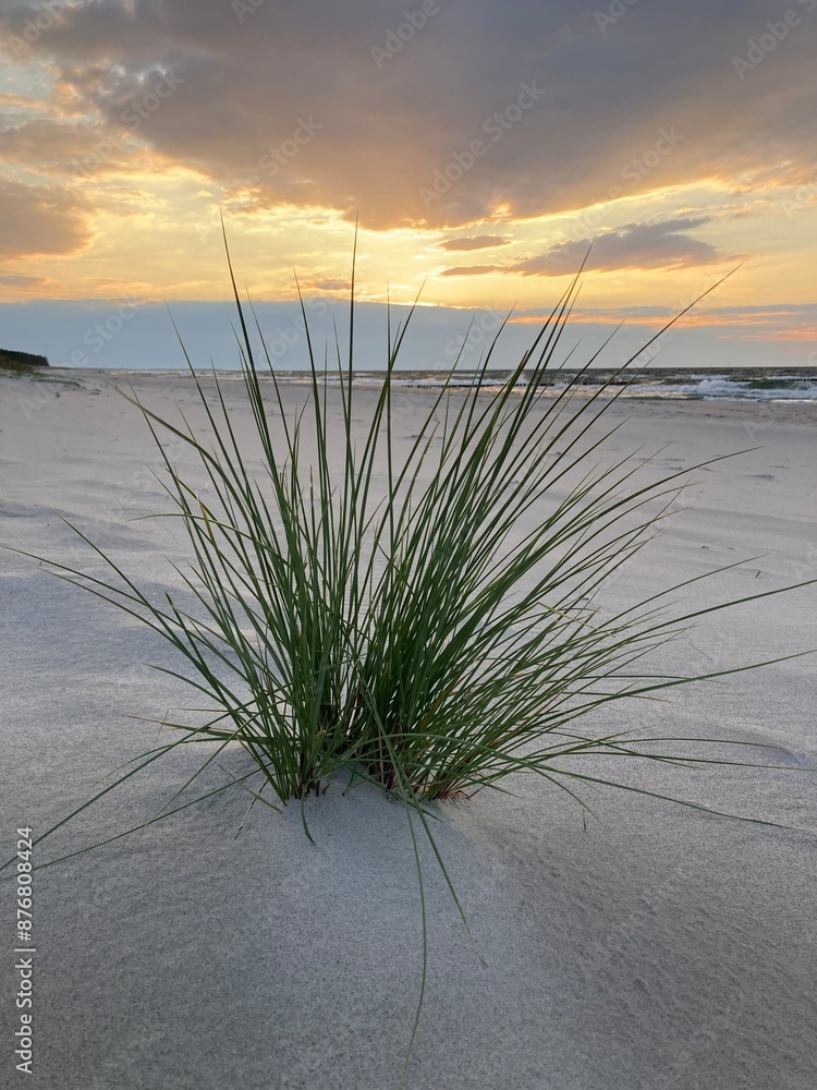 Sonnenuntergang am Strand von Zingst, Ostsee, Mecklenburg-Vorpommern, Deutschland